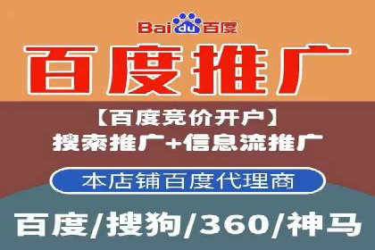 低成本高回报：百度竞价代理成功案例分析